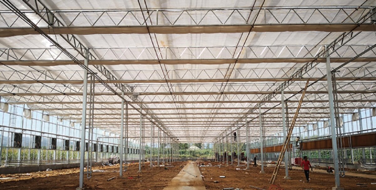 信橋鋼構(gòu)：打卡蒙陰農(nóng)業(yè)溫室大棚、青州黑牛養(yǎng)殖基地！(圖3)