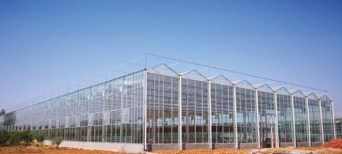 信橋鋼構(gòu)：打卡蒙陰農(nóng)業(yè)溫室大棚、青州黑牛養(yǎng)殖基地！(圖2)